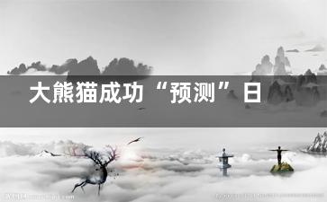 大熊猫成功“预测”日本战胜德国  不愧为国宝这都能猜中